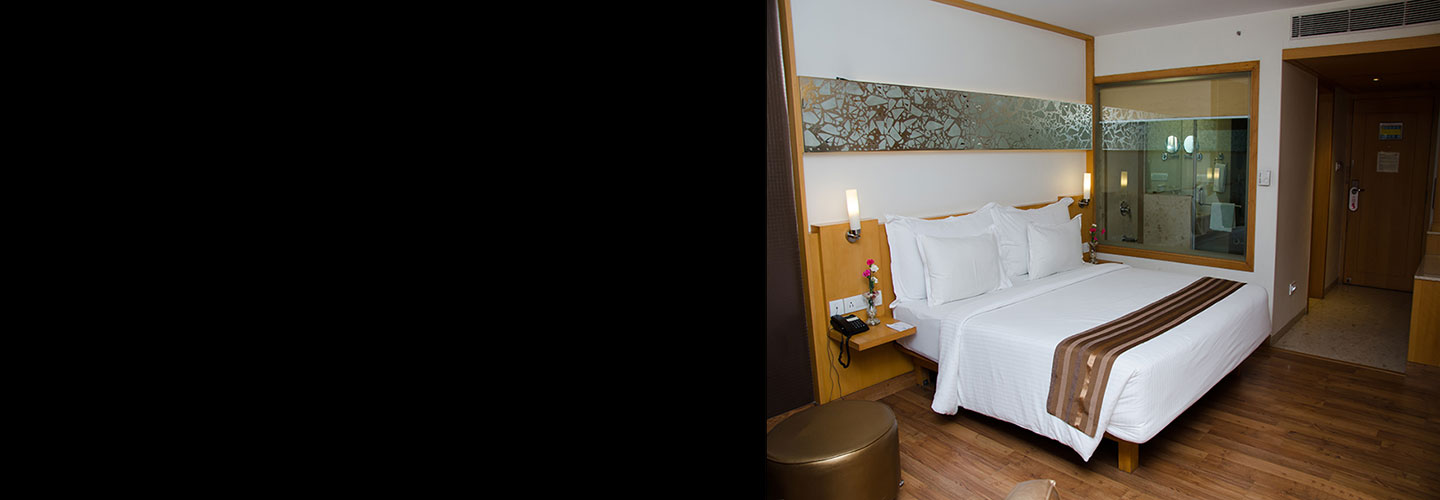 Hotel Lineage, Lucknow